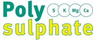 POLYSULPHATE S K MG CA logo