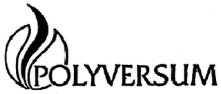 POLYVERSUM logo