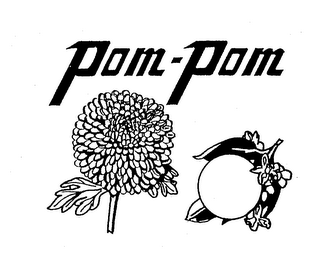 POM-POM logo