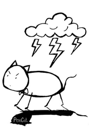 PONCAT logo