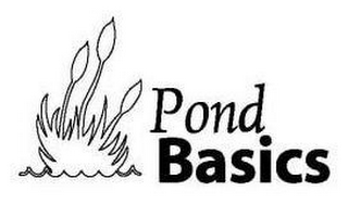 POND BASICS logo