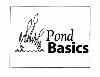 POND BASICS logo