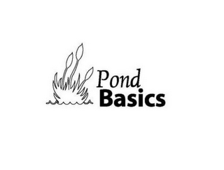 POND BASICS logo