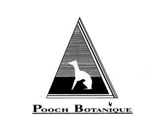 POOCH BOTANIQUE logo