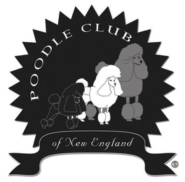 POODLE CLUB OF NEW ENGLAND logo