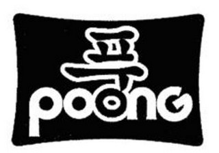 POONG logo