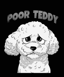 POOR TEDDY logo