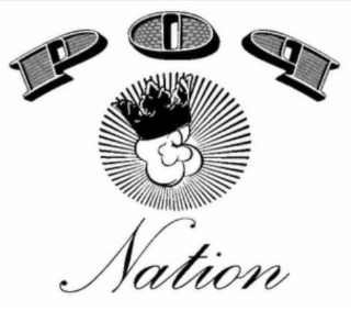 POP NATION logo