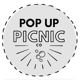 POP UP PICNIC CO logo