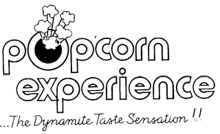POPCORN EXPERIENCE...THE DYNAMITE TASTE SENSATION!! logo