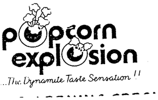 POPCORN EXPLOSION - THE DYNAMITE TASTE SENSATION!! logo