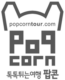 POPCORNTOUR.COM POPCORN logo