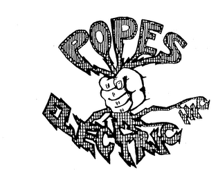 POPES ELECTRIC INC logo