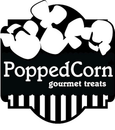 POPPEDCORN GOURMET TREATS logo