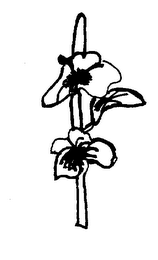 POPUPS logo