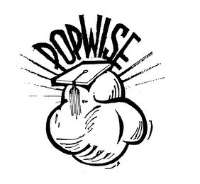 POPWISE logo
