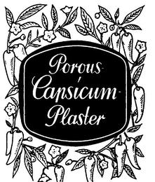 POROUS CAPSICUM PLASTER logo