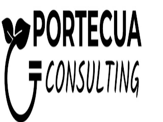 PORTECUA CONSULTING