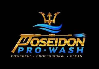 POSEIDON PRO-WASH POWERFUL PROFESSIONAL CLEAN logo
