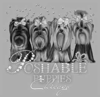 POSHABLE PUPPIES CHICAGO logo