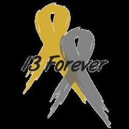 POSITIVE, STRONG, TOGETHER 13 FOREVER FIGHTING PEDIATRIC CANCER WWW.13FOREVER.ORG logo