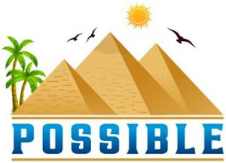 POSSIBLE logo