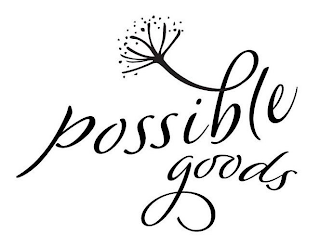 POSSIBLE GOODS logo