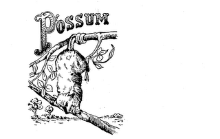 POSSUM logo