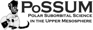 POSSUM POLAR SUBORBITAL SCIENCE IN THE UPPER MESOSPHERE logo