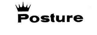 POSTURE logo