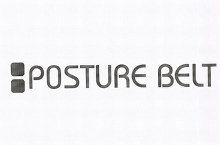 POSTURE BELT logo