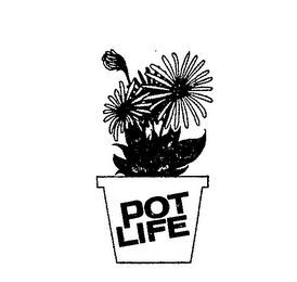 POT LIFE logo