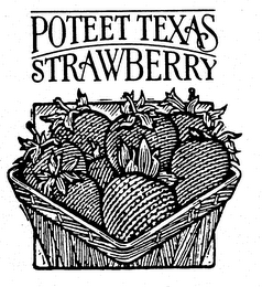 POTEET TEXAS STRAWBERRY logo