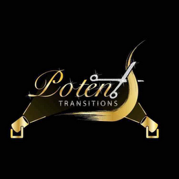 POTENT TRANSITIONS logo