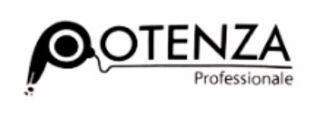 POTENZA PROFESSIONALE logo