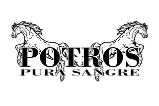 POTROS PURA SANGRE logo