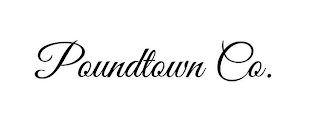 POUNDTOWN CO. logo