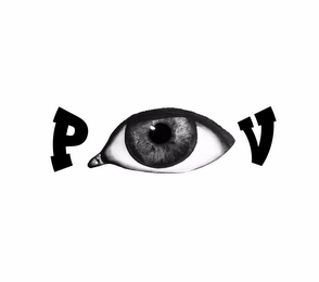 POV logo