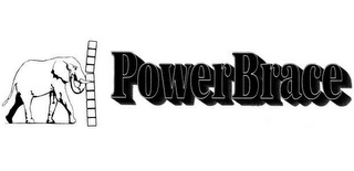 POWER BRACE logo