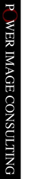 POWER IMAGE CONSULTING logo