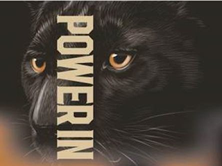 POWER IN logo