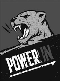 POWER IN logo