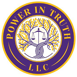 POWER IN TRUTH LLC logo