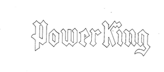 POWER KING logo