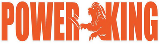 POWER KING logo