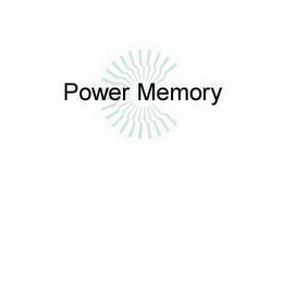 POWER MEMORY logo