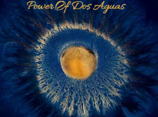 POWER OF DOS AGUAS logo