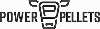 POWER PELLETS P logo