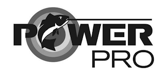 POWER PRO logo