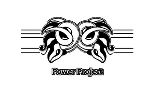 POWER PROJECT logo